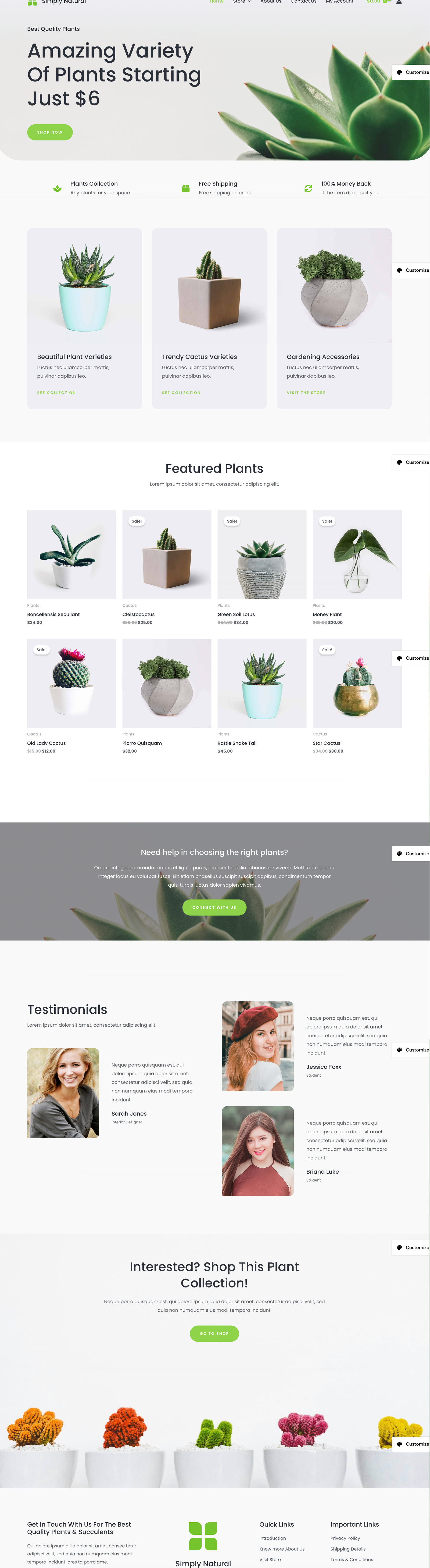 网站示例 website9